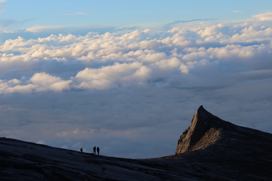 Kinabalu Park: een wereld vol natuur op het dak van Borneo
